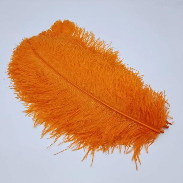 Penas Naturais de Avestruz para Artesanato e Decoração: Ideais para Casamentos, Centrais de Mesa, Carnaval e Natal - Pacote com 10 Peças