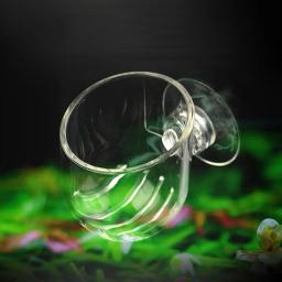 Vidro transparente tigela de comida com forte ventosa, Red Worm Cup, Fish Tank Suprimentos, acessórios de aquário, alimentação e água - Image 2