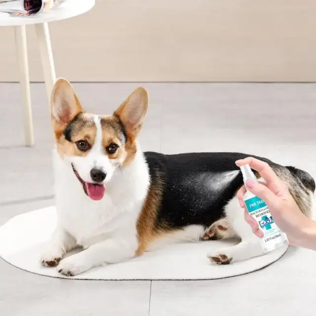 Spray Desodorizante para Cães 50ml - Pet Odor Spray com Perfume Duradouro e Eliminação de Odores após o Banho