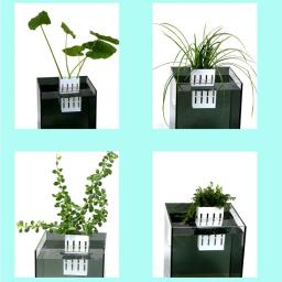 Suporte De Plantas De Aquário Montado Na Parede, Pendurado Tanque De Peixes, Cesta De Plantas Hidropônicas, Copos, Suprimentos De Decoração De Jardim Em Casa - Image 4