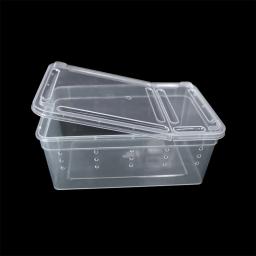 19cm x 12.5cm x 7.5cm terrário para répteis aranha transparente caixa de alimentação de plástico recipiente de alimentação de alimentos para insetos - Image 2