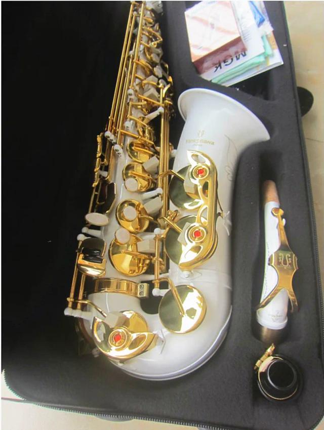 Saxofone Alto Profissional A-992 com Chaves em Ouro Branco - Instrumento Musical de Alta Qualidade e Estojo Incluído