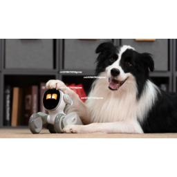 Loona-robô inteligente com controle remoto, recarga automática, cão de estimação, com chatgtp e acessórios, acessórios do jogo - Image 2