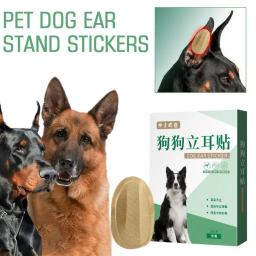 Conjunto de 2 peças para apoio orelha do cão adesivos, orelha correção suprimentos, orelha cuidados ferramentas, conveniente e eficaz - Image 1