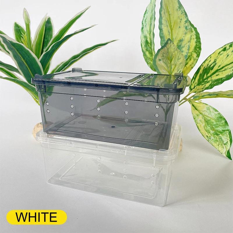 Caixa De Alimentação De Plástico Transparente, Terrário Para Répteis Aranha, Inseto, Lagarto, Besouro, Transporte, Reprodução De Alimentos, Recipiente De Criação, 1Pc - Image 1