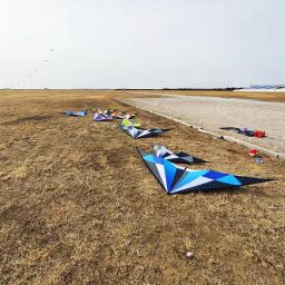 Frete grátis linha dupla dublê pipas voadoras fábrica adultos pipas linha kitesurf voando escudo ao ar livre pipa voando - Image 4