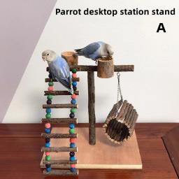 Suporte De Papagaio De Madeira Sólida, Brinquedos De Pássaro De Treinamento De Desktop Stand Pole, Playground Interativo, Pequenos Pet Suprimentos - Image 5