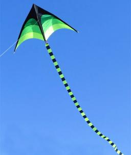 Frete grátis grande delta kite para crianças kite nylon brinquedos voando kites arco-íris kite brinquedo ao ar livre borboleta asas flight kite cobras - Image 6