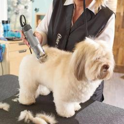 Profissional Pet Dog Grooming lâmina destacável, Clippers, compatível com Andis, Oster, A5, Wahl, Série KM, animais - Image 2