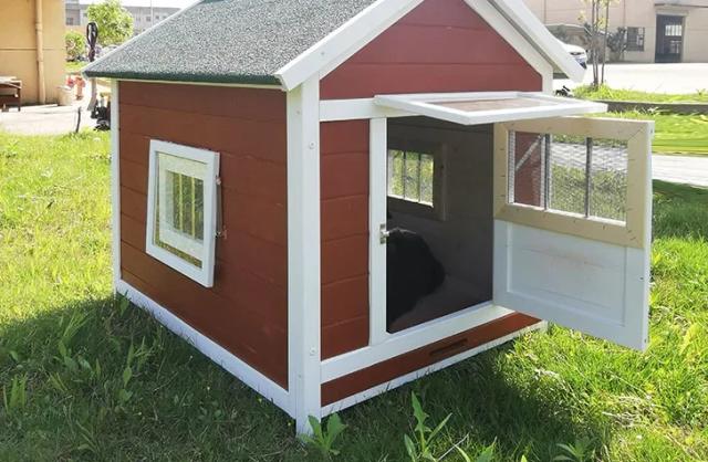 Casa de Gaiola de Madeira para Animais Fofos - Atraente Pet Shop com Canil para Cães e Produtos para Uso ao Ar Livre