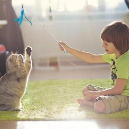 Brinquedo interativo para gato, varinha de penas, jogar suprimentos, caça, exercício, produtos para animais, gatinho, acessórios - Image 4
