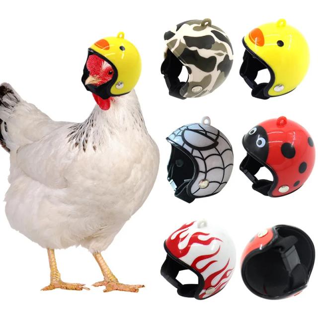 Capacete de Desenhos Animados para Animais de Estimação - Acessórios Mini Pet com Protetor Solar e Decoração para Chuva