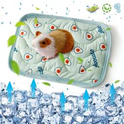 Esteira refrigerando para o animal de estimação pequeno, esteira mais fresca, seda do gelo, sentimento fresco, canil do hamster, cobaia, chinchila, coelho, animal de estimação pequeno, verão - Image 1