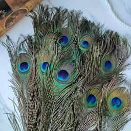 Longas penas naturais pavão adequado para vaso artesanato, decoração do casamento, festa em família, Natal, em massa, 50 pcs - Image 3