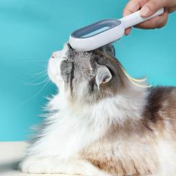 Escova dupla face de massagem mágica para animais de estimação, depilação, pente injetável de água, cuidados com a pele, beleza, cães e gatos, magia - Image 1