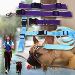 Mãos ajustáveis Grátis Pet Lead Leash, cintura, cinta no peito, corda de tração, gato, cão, corrida, caminhar, correr, dom, animais suprimentos, 1pc - Image 3