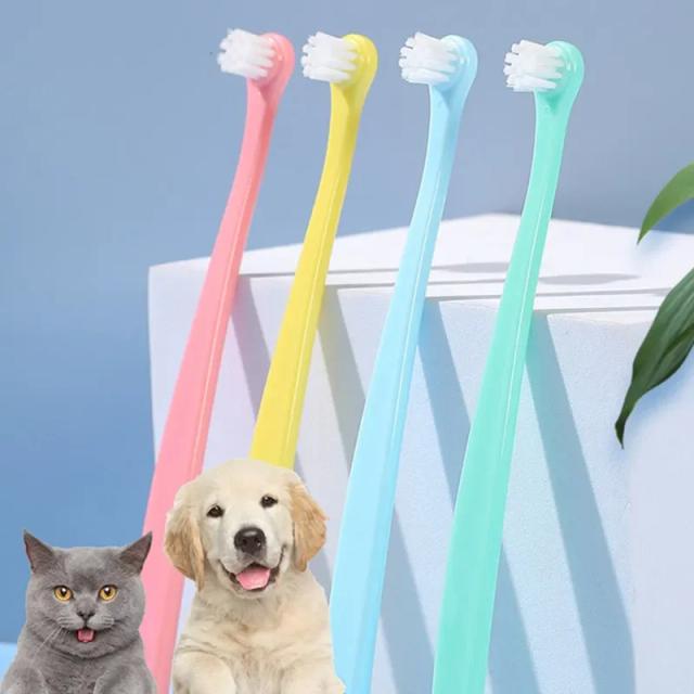 Escova de Dentes Macia para Gatos: Ferramenta de Limpeza Ideal para Pets