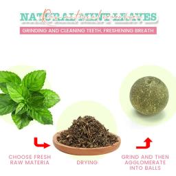 Natural Catnip gato rotativo parede bola brinquedos, lambendo lanches, nutrição saudável bola, limpeza dos dentes brinquedo, Pet fornecimentos - Image 4
