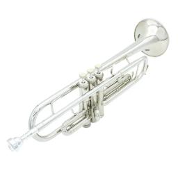 Bb Trumpet Brass Instrument, Trompete Padrão Conjunto com Caixa para Iniciantes, Instrumentos Musicais de Qualidade Profissional - Image 4