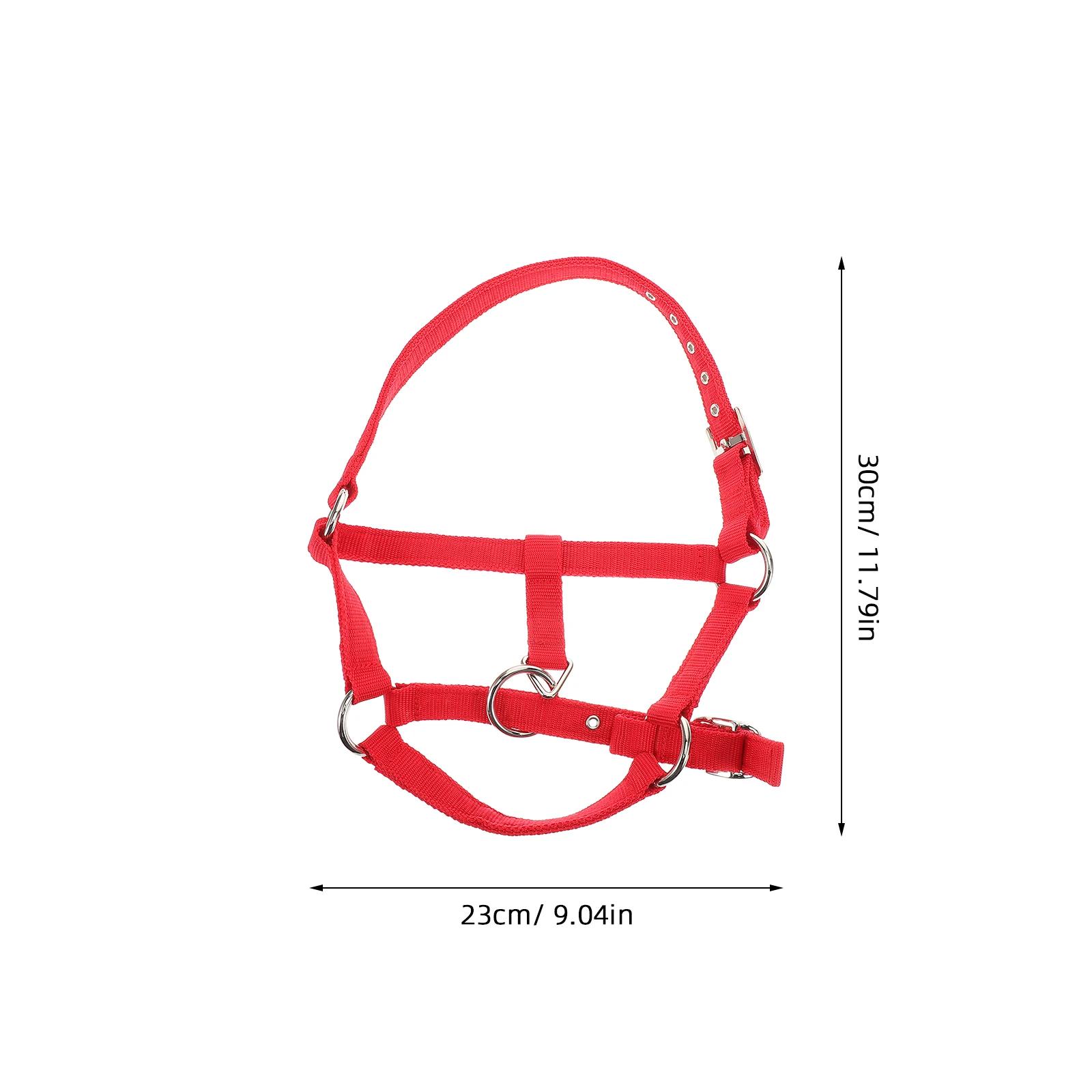 Crianças treinamento equestre ajustável engrossado cavalo halter equipamento macio webbing durável náilon versátil - Image 1