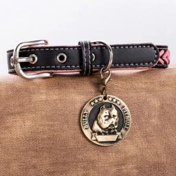 Etiqueta de identificação personalizada para animais de estimação, nome personalizado, anti-perdido, registro gravado, endereço, pingente, medalha, acessório coleira, gato, cachorro - Image 5