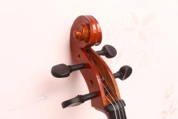 Violoncelo Red Light Basswood do iniciante, 4/4 Maple painel lateral traseiro, instrumento de cordas do estudante, iniciante profissional - Image 5