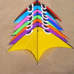 Professional Kites Flying Dragon Kite, Kitesurf Winder, Outdoor Sports Toys, Frete Grátis, City Elf - Image 6