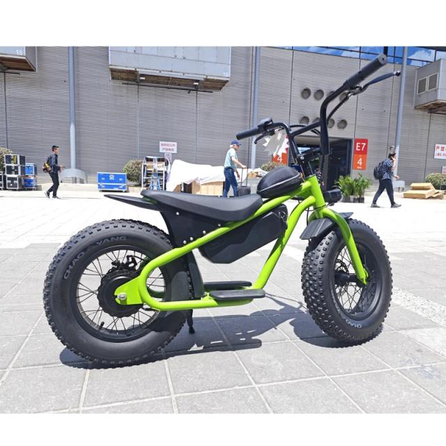 Bicicleta Elétrica Infantil Traseira 48V 500W