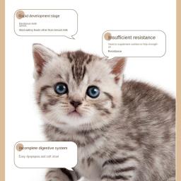Congelar frango seco e leite de cordeiro, pirulitos de queijo gato, produtos para animais, moer os dentes, gatinhos - Image 6