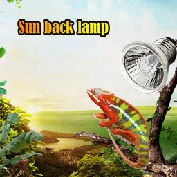 Lâmpada para répteis UVA e UVB, Basking para tartarugas, Luz UV, Luz de aquecimento, Espectro completo, Lâmpada solar para anfíbios, 25 W, 50 W, 75W, 1-10Pcs - Image 5