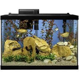 Mini Kit Tanque de Peixes com Iluminação LED e Decoração Fishbowl, 20 Galões, Pequeno, Aquário, Aquários, Pet Acessórios - Image 2