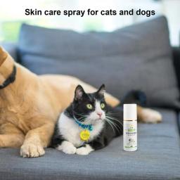 Auxílio curativo para cães e gatos, Spray para feridas, Reparação da pele, Spray anti coceira, Suprimentos de saúde, 100ml - Image 2