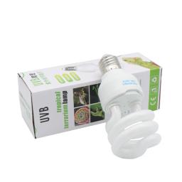 Lâmpada suculenta de poupança de energia para répteis, suplemento de cálcio, luz UV para lagarto, tartaruga, Home Pet Supplies, Uvb 5.0 10.0 - Image 1