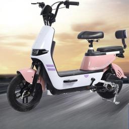 Bicicleta elétrica de íon de lítio para adultos, bicicleta leve de liga de magnésio para homens e mulheres, bicicleta assistida por energia - Image 1
