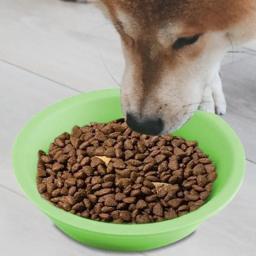 Natal tema dupla face pet alimentação tigela, alimentador lento para comida de gato, Desenhos animados, alimentação suprimentos, comida seca e úmida - Image 4