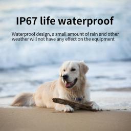 G12 Rastreador de localização GPS impermeável, coleira inteligente, localizador de rastreamento de animais, IP67, registro anti-perdido, multifuncional para gato e cachorro - Image 4