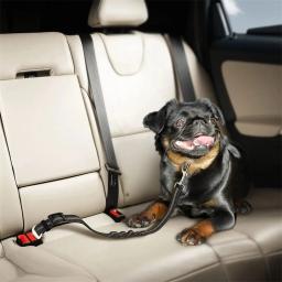 Cinto de segurança para cães, Arnês para cães, Ajustável, Durável, Nylon, Refletivo, Tecido Bungee, Tether, Suprimentos de viagem de carro - Image 6
