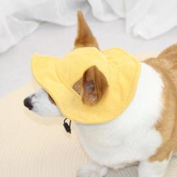 Boné leve de proteção solar para animais de estimação, macio, confortável, bonito, orelhas, gatos, cães - Image 3
