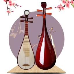 Profissional Pipa Chinês Étnico Instrumento Musical, Aldult Alaúde, Oriental Tradicional Instrumentos Musicais de Cordas com Acessórios - Image 2