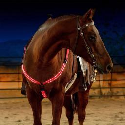 3 pçs led conjunto de passeio a cavalo pernas peito caudas cintas cavalos equitação ternos equestres luminosos luzes da noite cavalo visível equestre - Image 5
