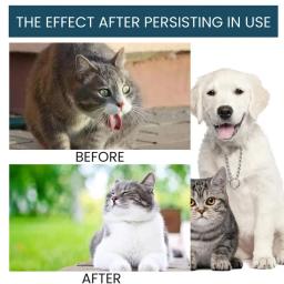 Gotas de saúde para gatos e cães, Suplementos para articulações, Melhore a saúde de animais de estimação, 50ml - Image 4