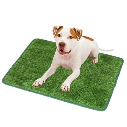 Potty portátil para treinamento de animais de estimação, Pee Pad, Bandeja de esteira, Grass House, Toilet Pad, Tapete de urina, Litter Box para cães e gatos - Image 2
