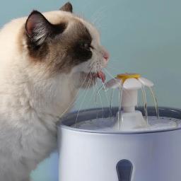 Interface USB Fonte de água potável para animais, Filtros de Carvão Ativado, Alimentador Automático LED, Recipiente para Gato, 2.4L - Image 3