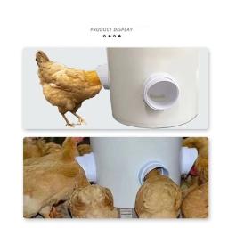Alimentador de aves à prova de chuva, Gravity Feed Kit para baldes Barris Bins Troughs, DIY Aves Alimentação Suprimentos - Image 3