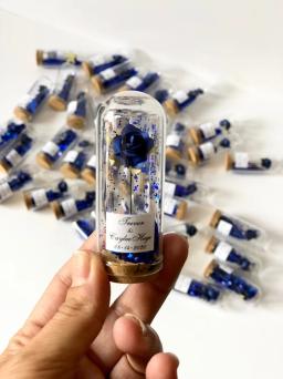 Favores Do Casamento Azul Real Personalizado Para Os Convidados, Cúpula De Vidro Cloche, Favores Do Partido, 10Pcs - Image 3