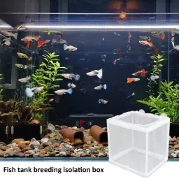 Juvenil-Rede De Separação De Peixes, Criação De Peixes, Caixa De Isolamento, Criador De Aquário, Alimentador Para Casa, Incubação Fry com Ventosas - Image 4