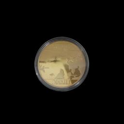 Banhado a ouro Titanic Navio Moeda Comemorativa, Medal Art Collection, Moedas Colecionáveis, Lembrança de Incidente para Casa - Image 4