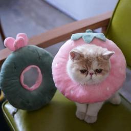 Colar protetor do cone para o gato, Colar bonito da recuperação, Cura ferida - Image 6
