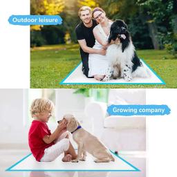 Super Absorvente Pet Fralda, Almofadas de urina grossa para cães, Fralda descartável de urina rápida, Fraldas para cães e gatos, Desodorante Pet Supplies - Image 2