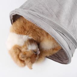 Tenda de passagem em forma de túnel brinquedos, dobrável, S-Shape, Peekaboo, caverna do gato, brinquedo interativo para coelho, cachorro, cobaia, Pet Supplies - Image 5